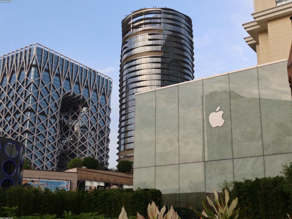 ការសិក្សាអំពីពិភពកាស៊ីណូ