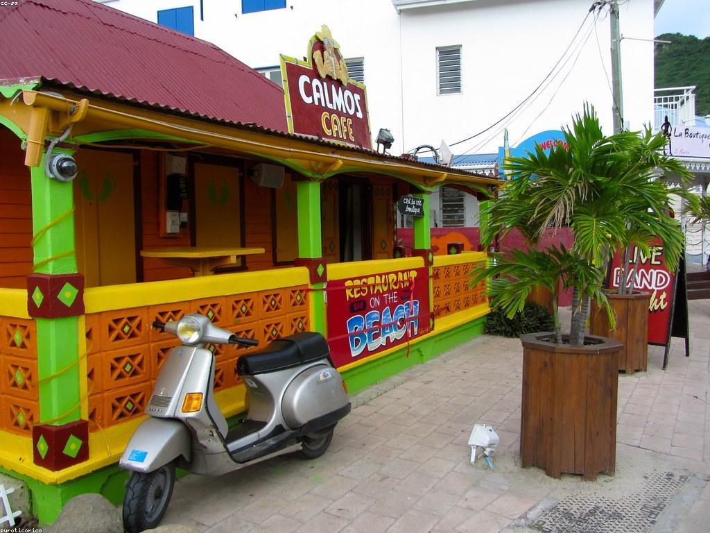 ការពិពណ៌នាពួកគេចំពោះវប្បធម៌កាស៊ីណូ